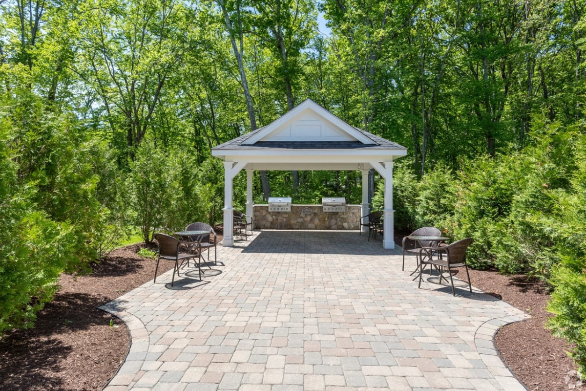 Photos and Video of Ashland Woods in Ashland, MA